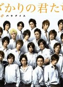 Hanazakari no kimitachi e: Ikemen Paradise