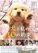 10 Promises To My Dog