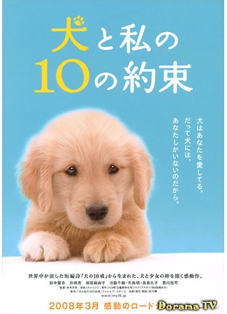 дорама 10 Promises To My Dog (Десять обещаний моей собаке.: Inu to watashi no 10 no yakusoku) 09.05.12