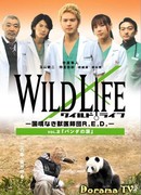 Wild Life