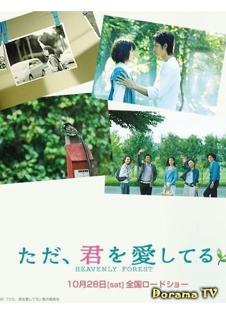 дорама Heavenly Forest (Я просто люблю тебя: Tada, Kimi wo Aishiteru) 28.08.12