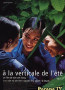 The Vertical Ray of the Sun