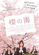 The Cherry Orchard: Blossoming