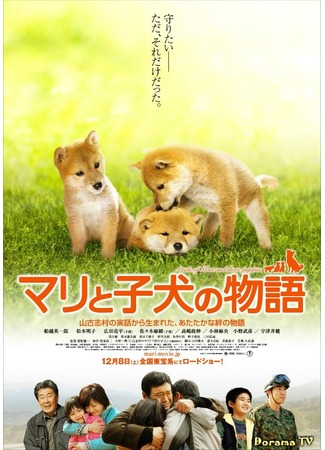 дорама A Tale Of Mari And Three Puppies (История Мари и трёх щенков: Mari to Koinu no Monogatari) 29.09.12