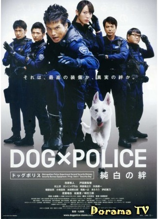 дорама DOG x POLICE: The K-9 Force (Полицейский пёс: Собачья служба) 23.12.12