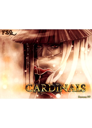 Переводчик FSG Cardinals 10.01.13