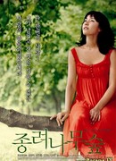 The Windmill Palm Grove