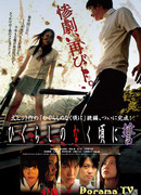 Shrill Cries - Reshuffle