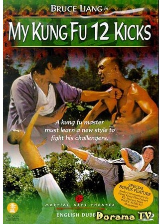 дорама My Kung Fu Twelve Kicks (12 ударов: Shi Er TanTui) 22.02.13