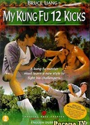 My Kung Fu Twelve Kicks