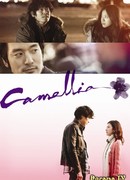Camellia: Busan Project