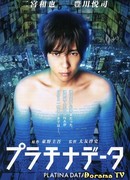 Platinum Data