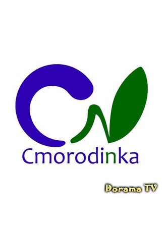 Переводчик Cmorodinka 21.04.13