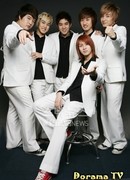 Idol World - Super Junior T