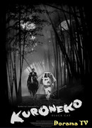 Black Cat from the Grove