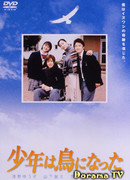 The Boy Became a Bird