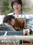 Rolling Home with a Bull