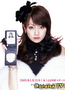 The Millionaire Detective