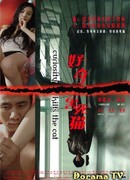 Curiosity Kills the Cat