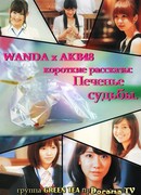 AKB48 Fortune Cookie