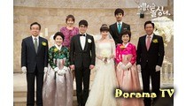 Cunning Single Lady