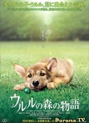 A Tale of Ululu's Wonderful Forest