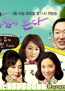 Wife Scandal - The Wind Rises