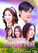 The miracle of the heart