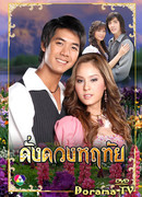 The star in my heart