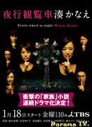 Ferris Wheel at Night