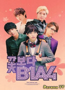 B1A4 - Boys Over Flowers DVD