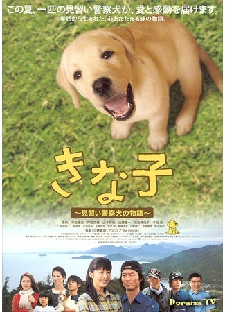 дорама Police Dog Dream (Мечта полицейского пса: Kinako: Minarai keisatsuken no monogatari) 20.11.14