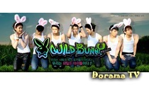 Wild bunny (2PM)