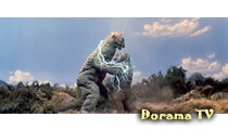 Godzilla, Minilla, Gabara: All Monsters Attack