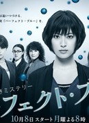 Miyabe Miyuki Mystery: Perfect Blue