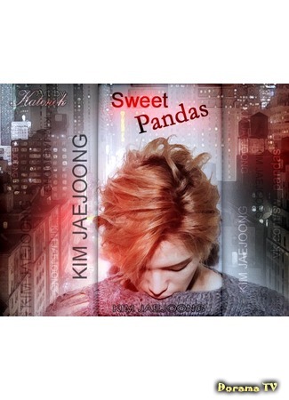 Переводчик Sweet Pandas 20.02.15