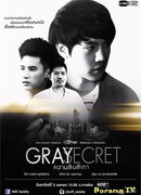 Wifi Society - Gray Secret