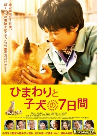 дорама 7 Days of Himawari &amp; Her Puppies (7 дней Химавари и ее щенков: Himawari to Koinu no Nanokakan) 05.05.15