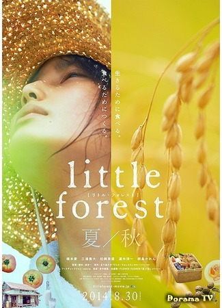 дорама Little Forest: Summer &amp; Autumn (Маленький лес: Лето, Осень: Ritoru Foresuto Natsu Hen • Aki Hen) 14.05.15