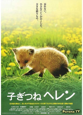 дорама Helen the Baby Fox (Лисичка Хелен: Kogitsune Heren) 16.05.15
