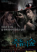 Four Horror Tales - Dark Forest