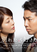 Wakaretara Suki na Hito