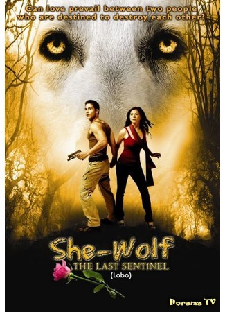 дорама She Wolf: The Last Sentinel (Волчица: Lobo) 08.12.15