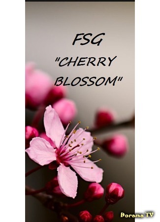 Переводчик FSG CherryBlossom 13.12.15