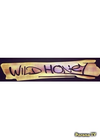 Переводчик Wild Honey 18.01.16