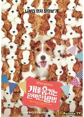 дорама How to Steal a Dog (Как украсть собаку: Gaereul Hoomchineun Wanbyeokhan Bangbub) 10.02.16