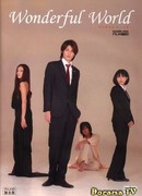Wonderful World