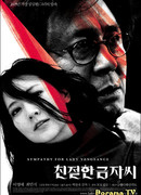 Sympathy for Lady Vengeance