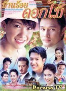 The Houseof a Hundred Flowers