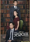 The Good Wife (Korea)